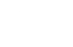 Logo mstc